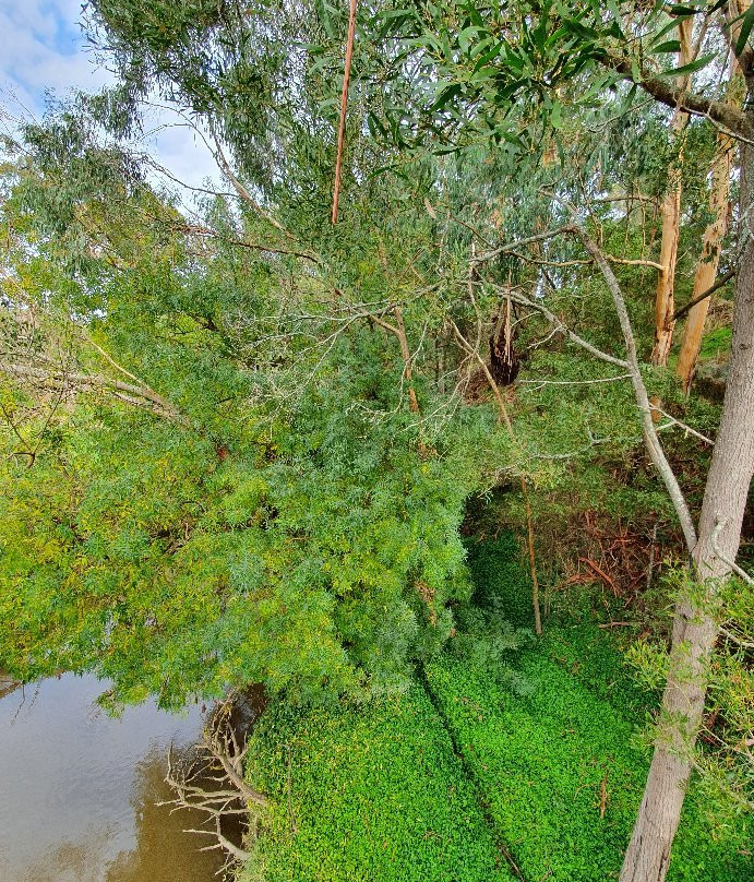 Great Southern Rail Trail-Leongatha必去景点