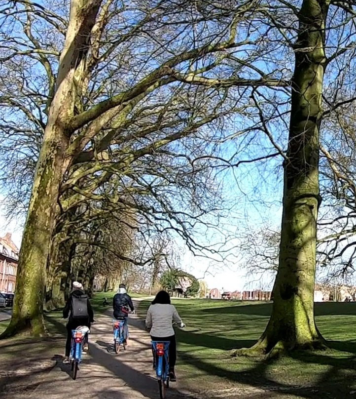 Tour Local-布鲁日必去景点