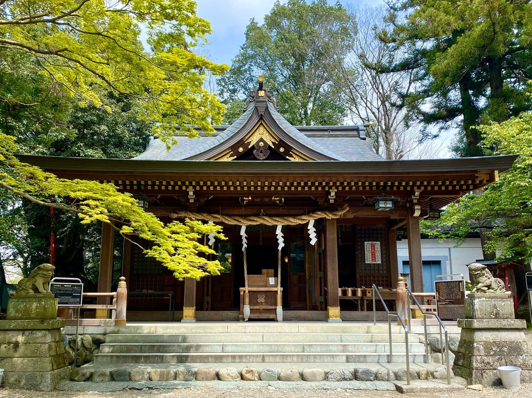Aso Shrine景点图片