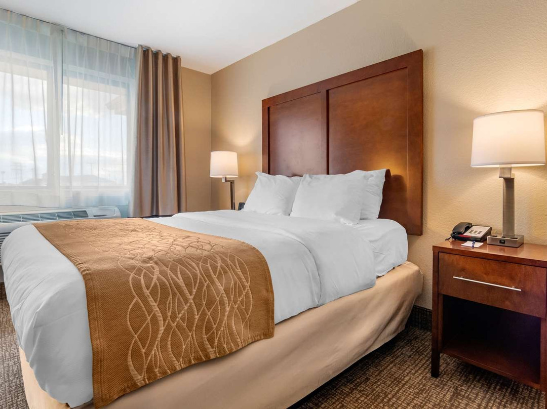 Comfort Inn & Suites South Hill I-85主图