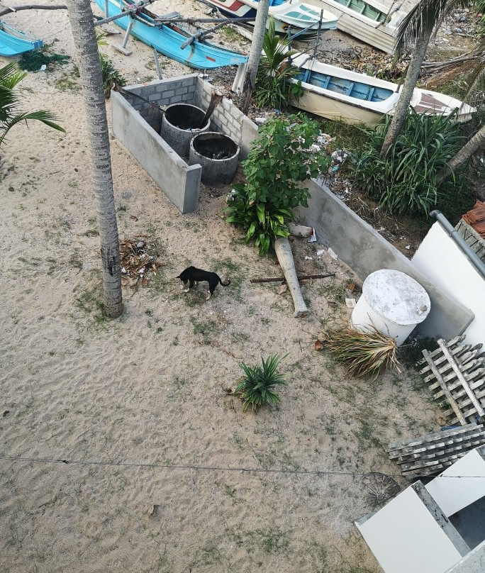 Cool Beach Hotel主图