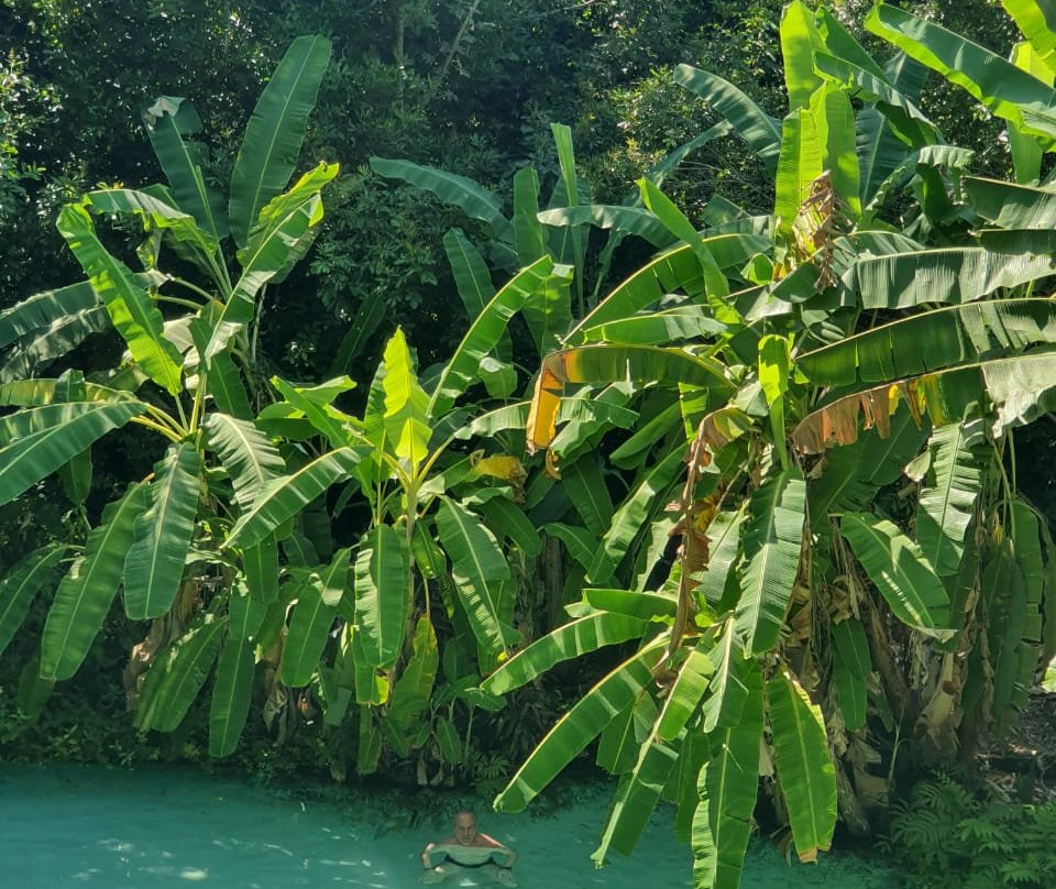 Fervedouro Mateiros-Mateiros必去景点