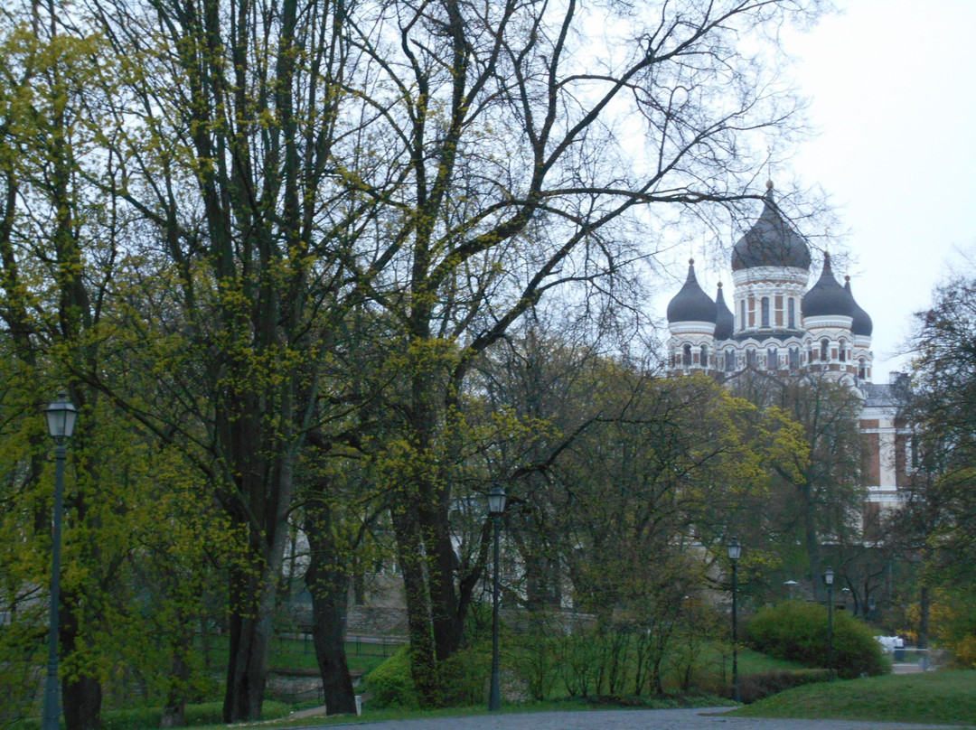 Harju Hill Park-塔林必去景点