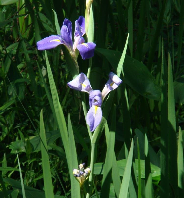 Northlake Nature Center-Mandeville必去景点