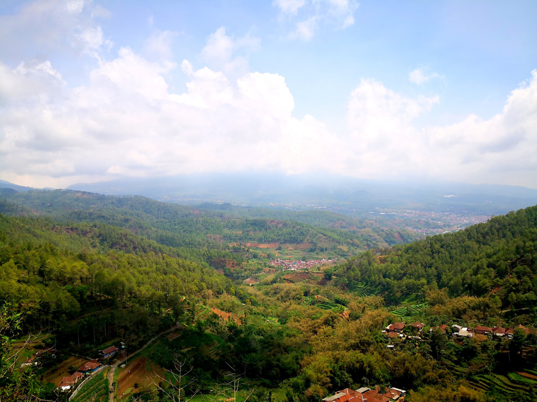 Goa Pinus景点图片