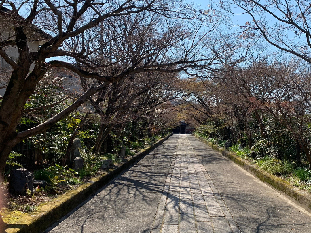 Ryufukuji Temple景点图片
