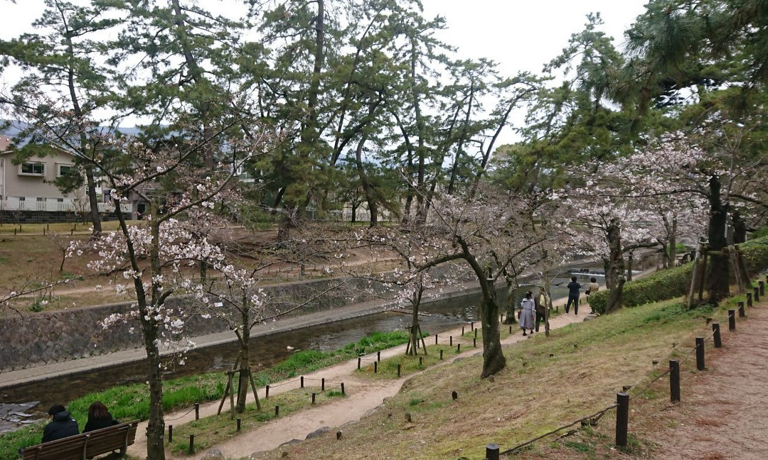 Shukugawa Park景点图片