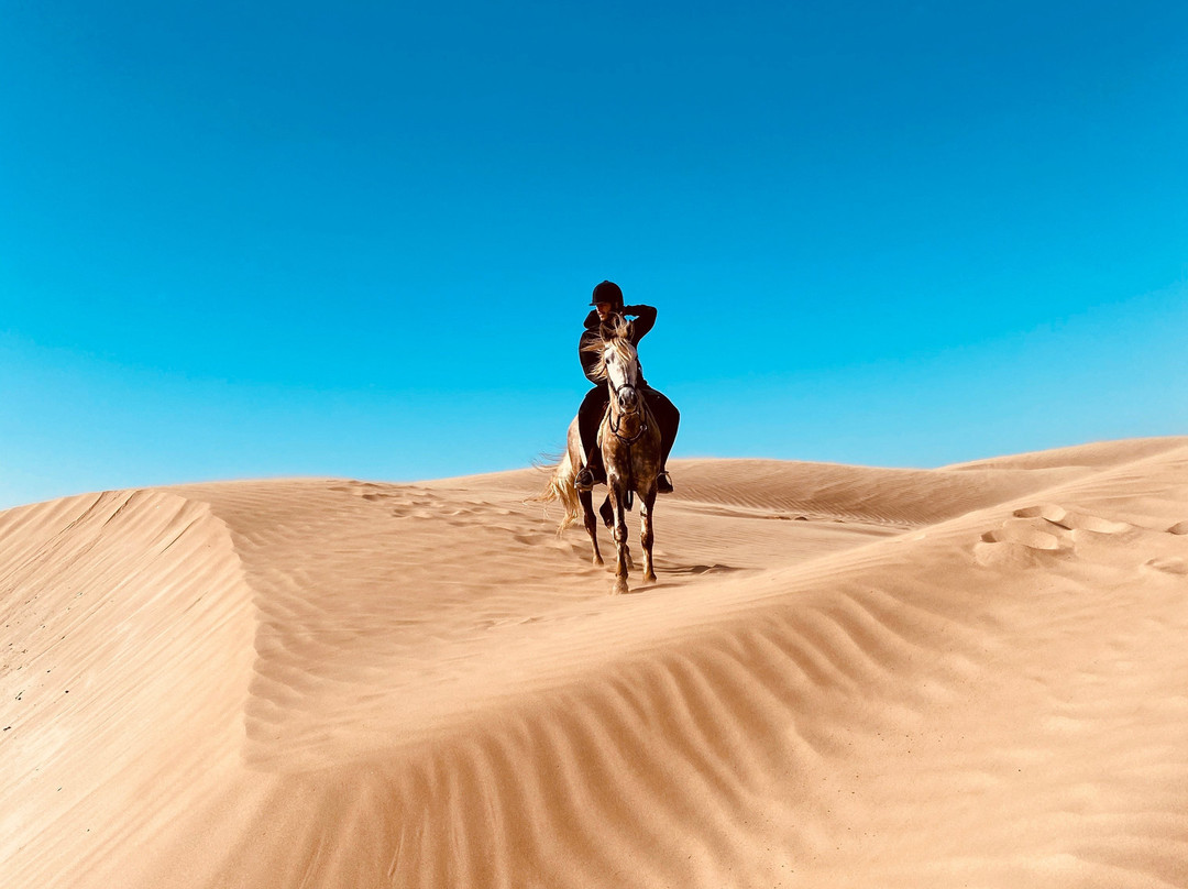 Family Adventure-索维拉必去景点