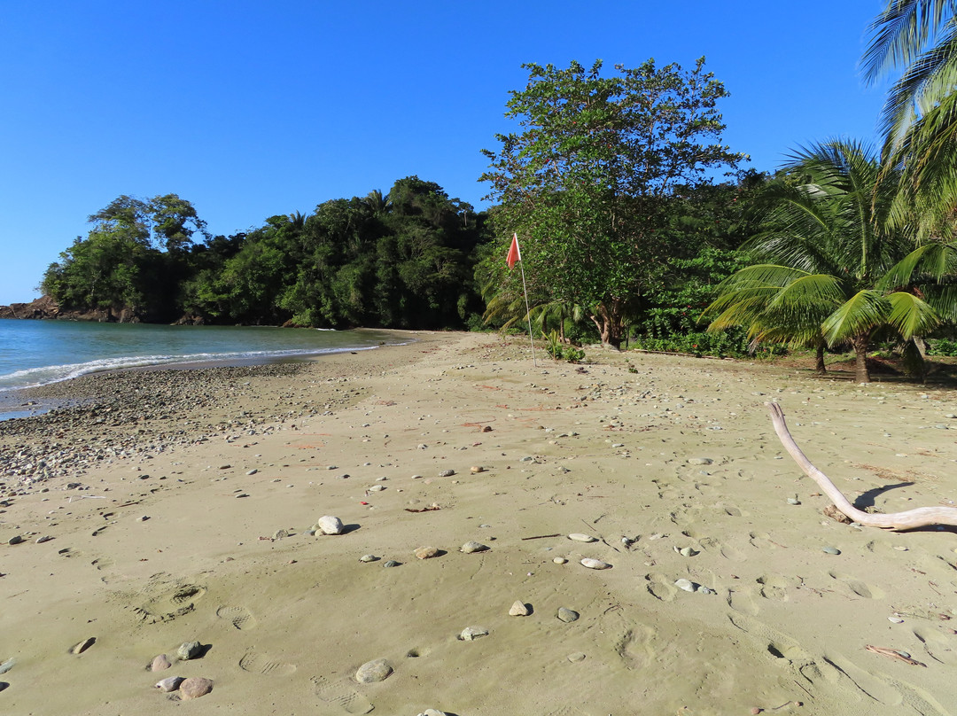 Bloody Bay Beach-Parlatuvier必去景点