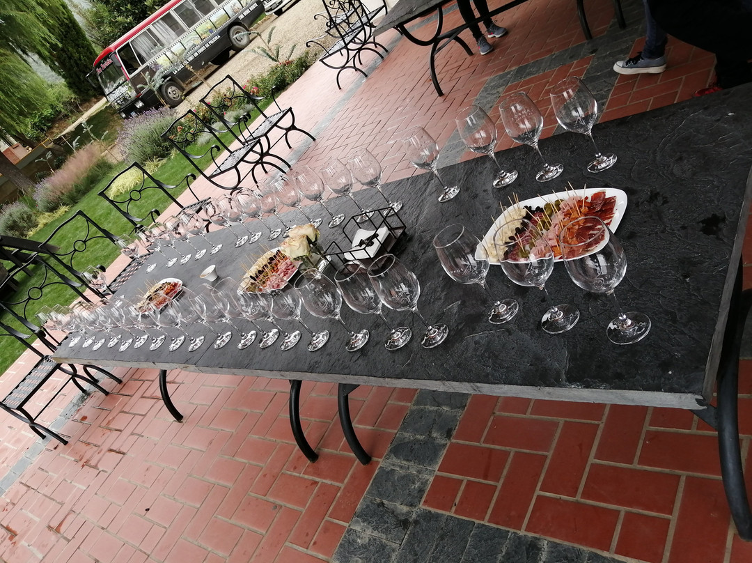 Bodega Campos de Solana-塔里哈必去景点