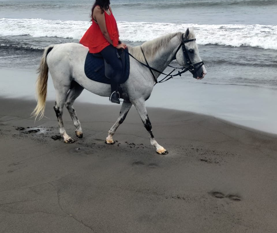 Padang Galak Beach-沙努尔必去景点