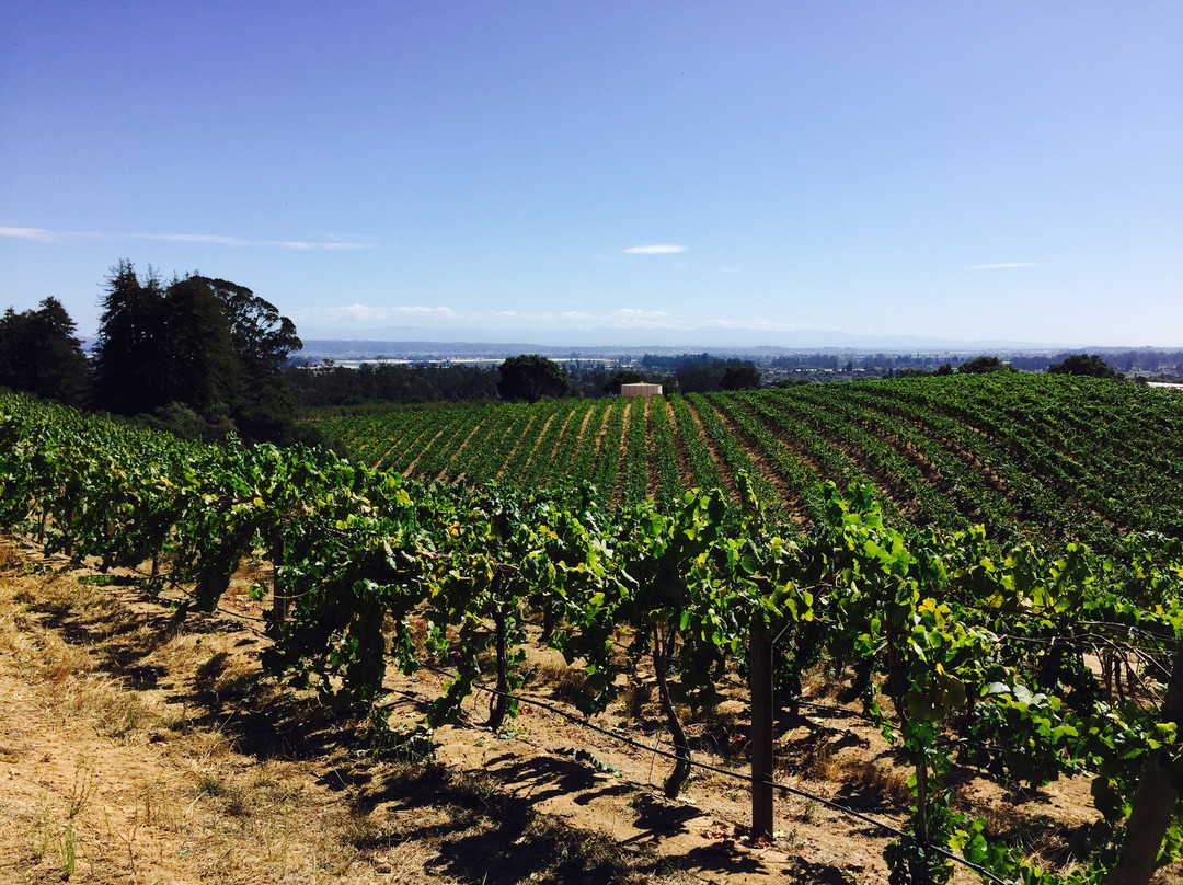 Partage Winery-圣克鲁斯必去景点