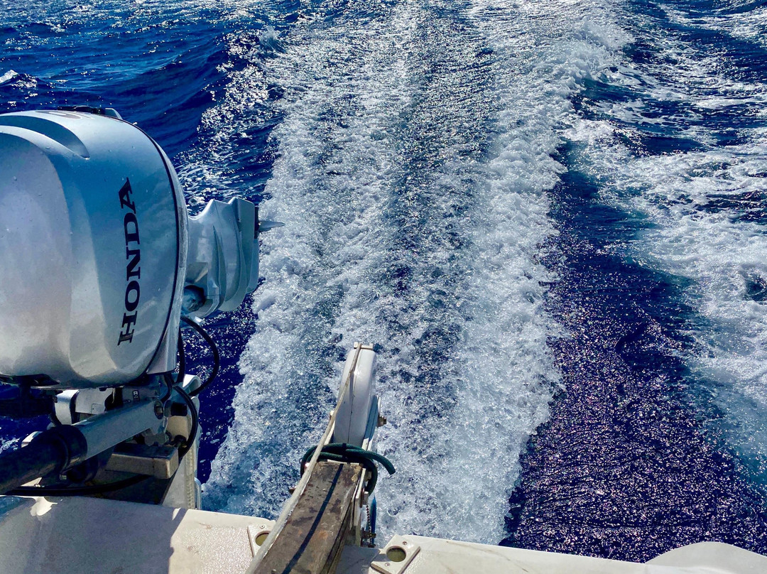 Cruise the Island-火奴鲁鲁必去景点