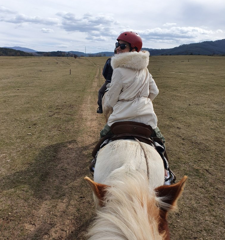 Equestrian Center Sivek-韦林格勒必去景点
