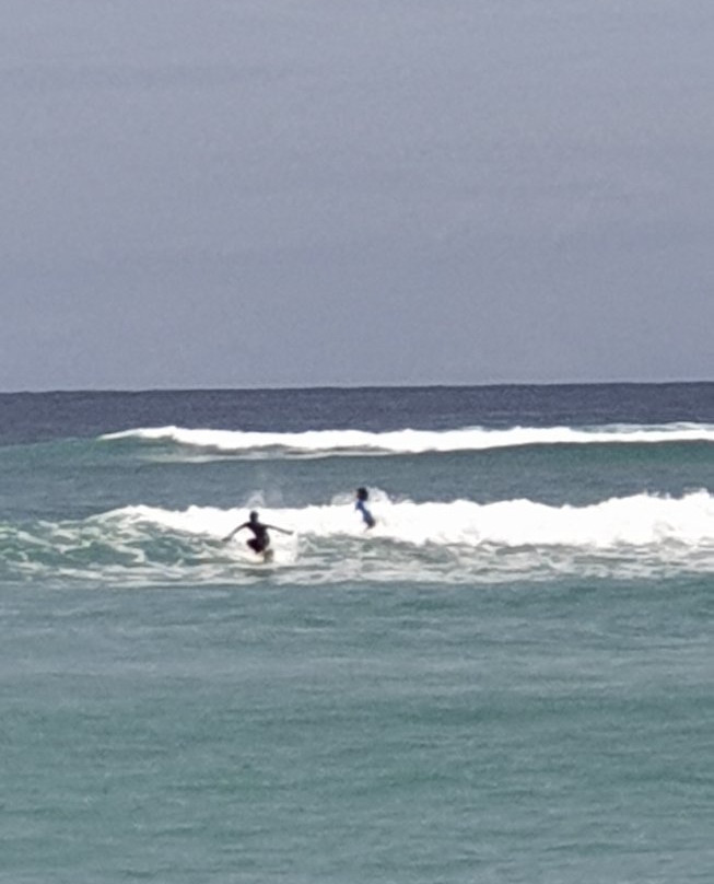 Monkey Surf Shop & School景点图片