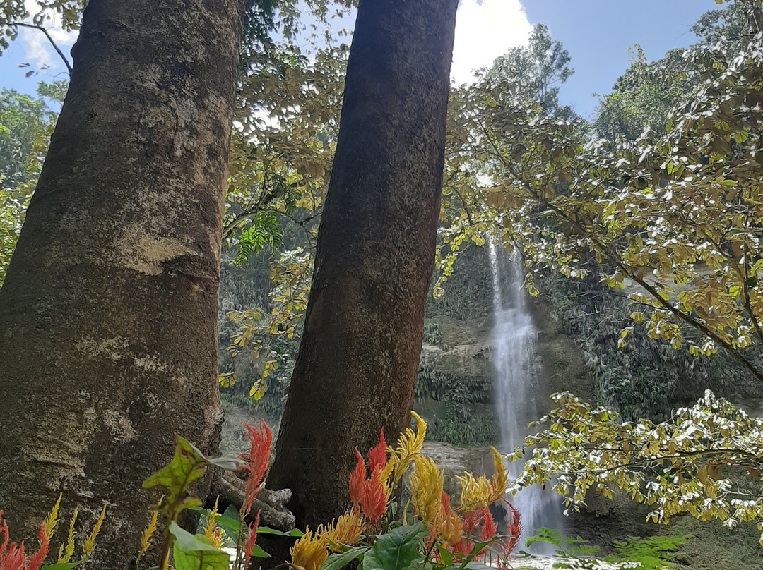Can-umantad Falls-Candijay必去景点