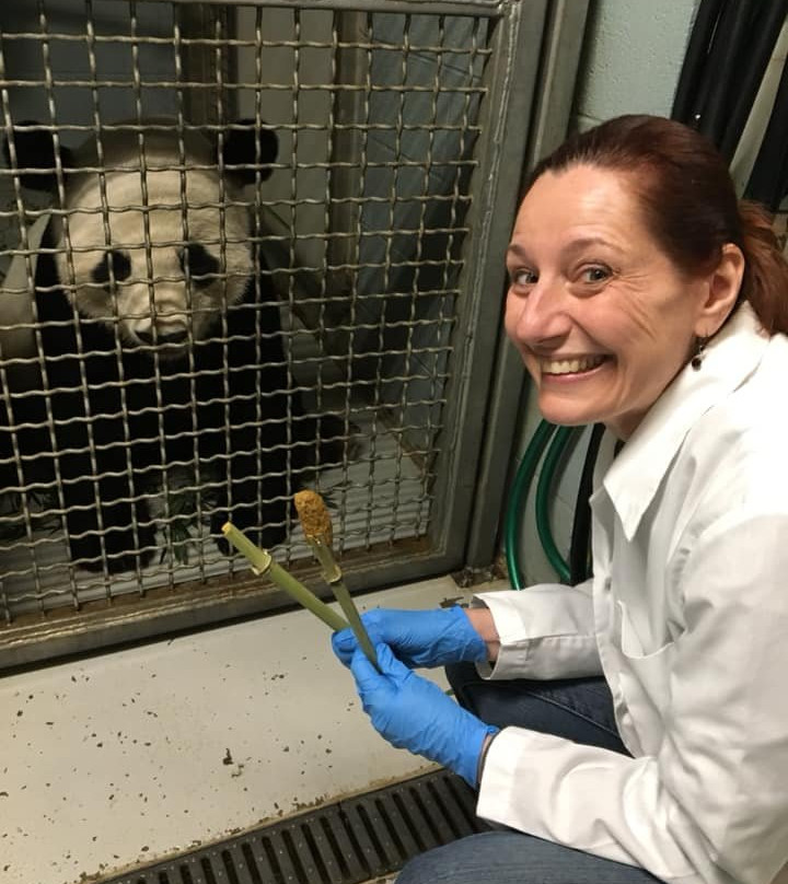 亚特兰大动物园-亚特兰大必去景点