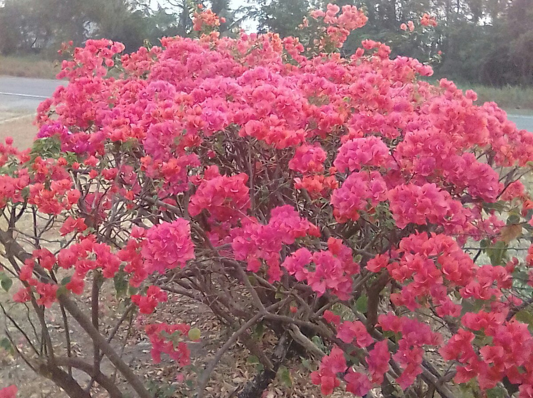 Subhapruek Golf Course-挽莫必去景点