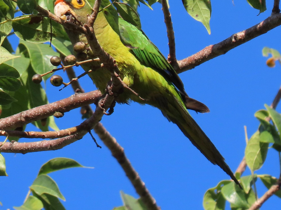 Nayarit Wild景点图片