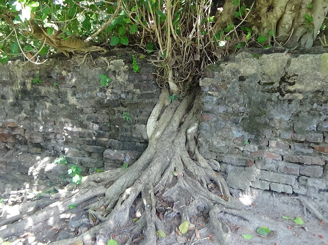 Arippu Dutch Fort-马纳尔必去景点
