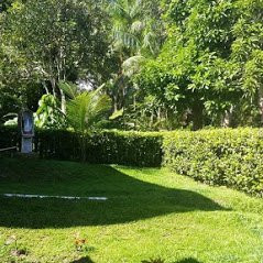 Ecocabañas Manguaré主图