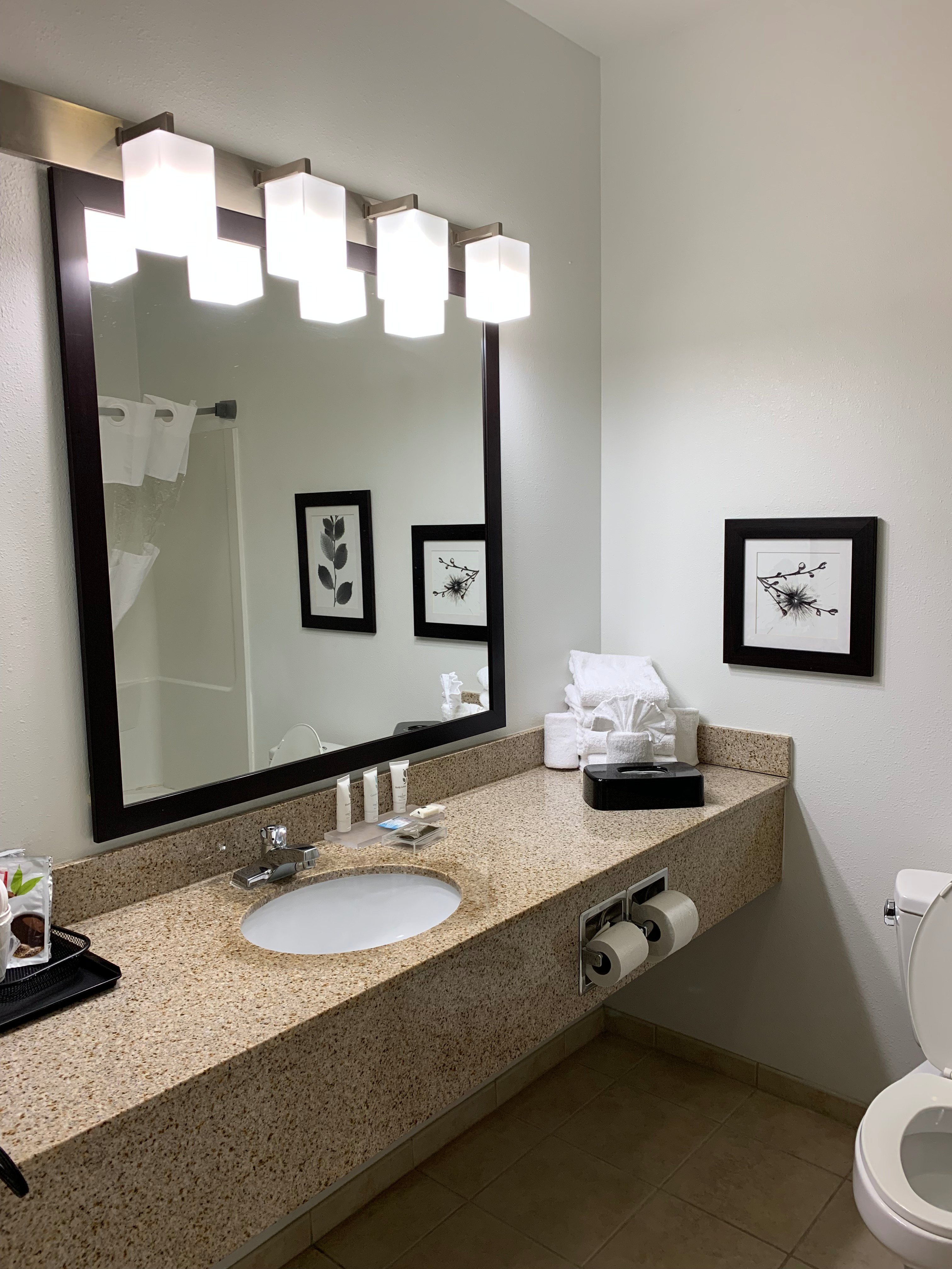 Country Inn & Suites by Radisson, Madison West, WI-浴室