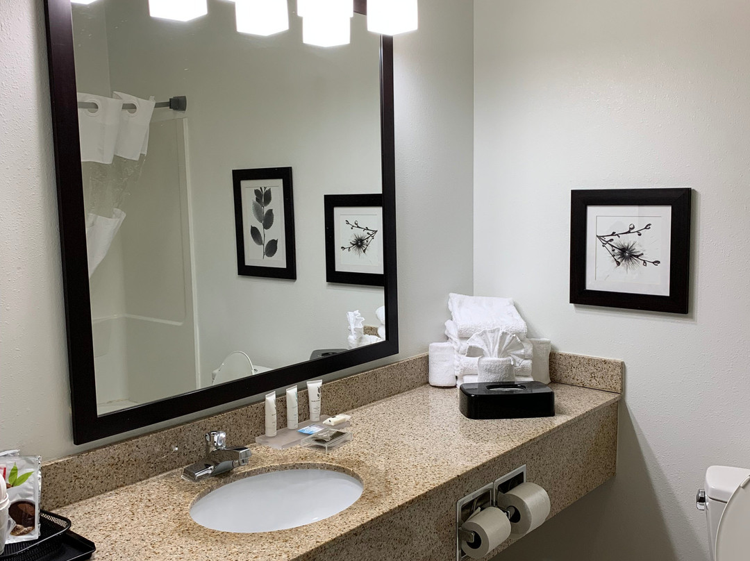 Country Inn & Suites by Radisson, Madison West, WI主图