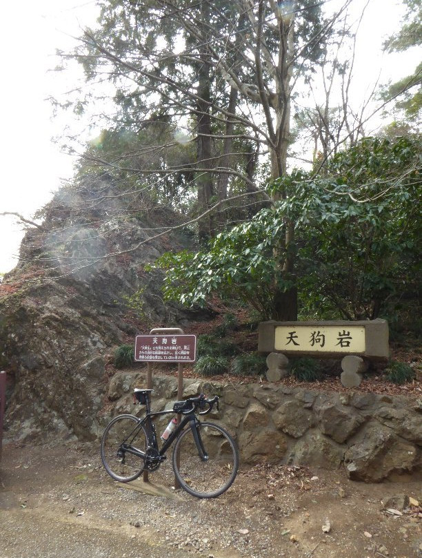 Karasawayama Jinja Shrine-佐野市必去景点