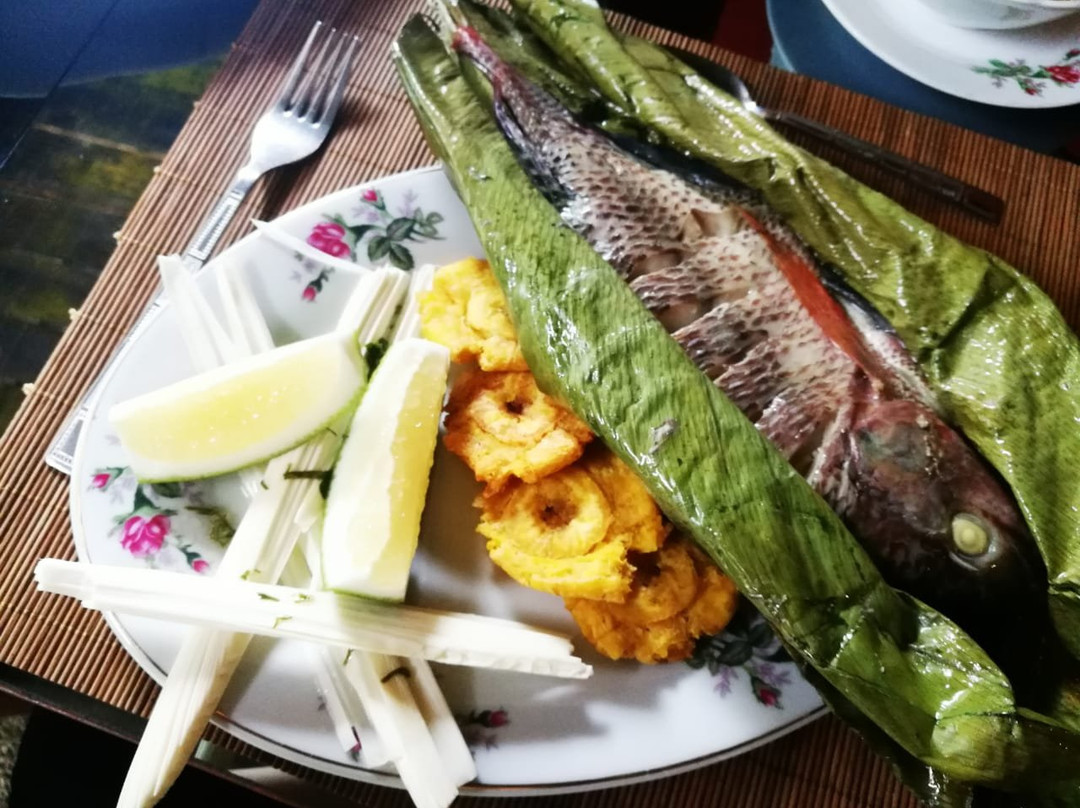 Playa Selva Lodge主图