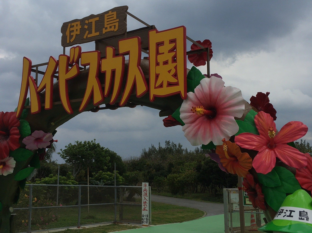 Iejima Hibiscus Garden景点图片