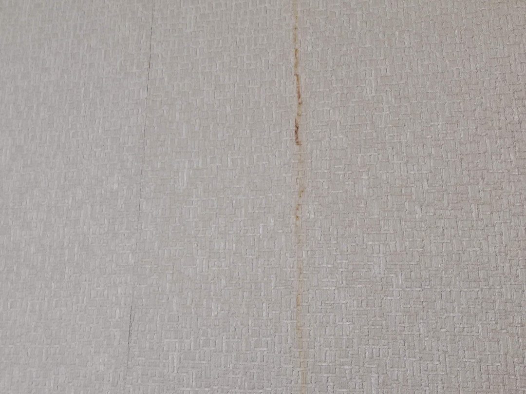 Exe Oriental Panama主图