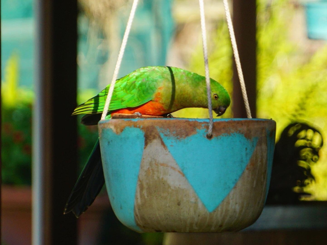 BellbirdHill Bed & Breakfast主图