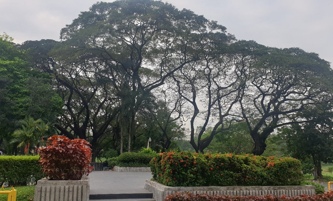University of the Philippines景点图片