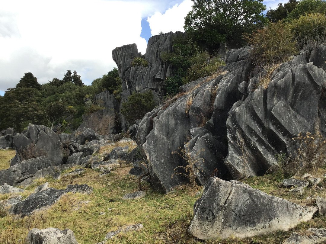 Waro Limestone Scenic Reserve Walk景点图片
