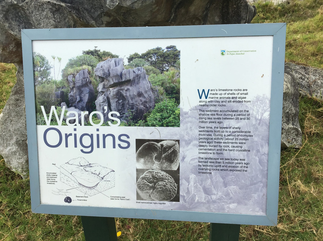 Waro Limestone Scenic Reserve Walk景点图片