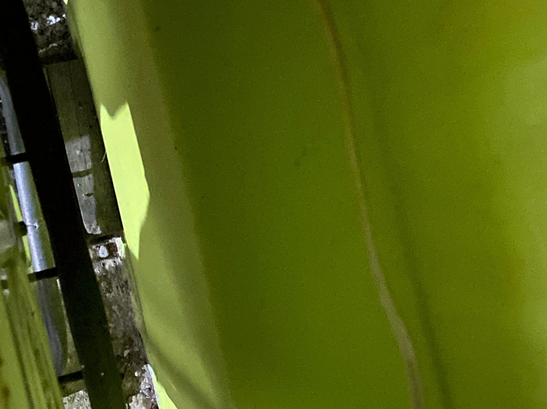 Guest House Sabang Marifi主图