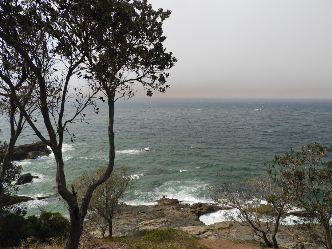 Mid North Coast Maritime Museum-麦克夸利港必去景点