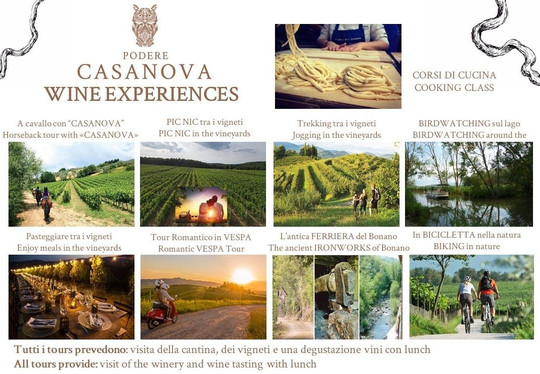 Podere Casanova Vini Montepulciano Toscana-蒙特普尔恰诺必去景点
