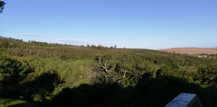 The Caledon Hotel & Spa主图