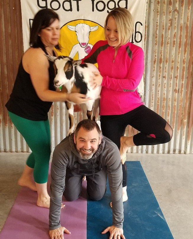 Galena Goat Yoga-加利纳必去景点