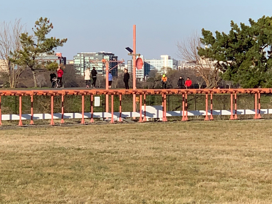 Gravelly Point Park-阿灵顿必去景点