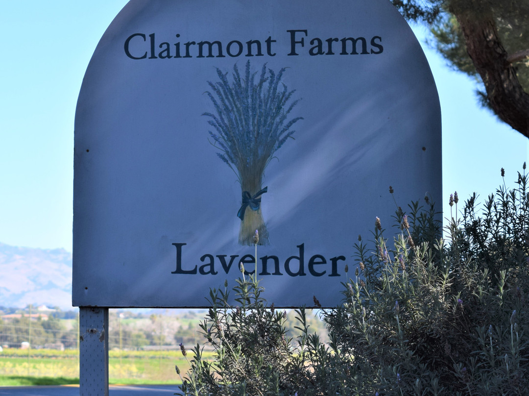 Clairmont Farms景点图片