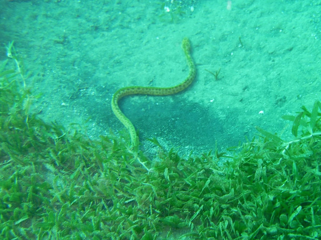 Corail Club Caraïbes-Trois-Ilets必去景点