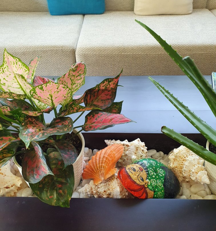 La Mera Wellness Spa-富国岛必去景点