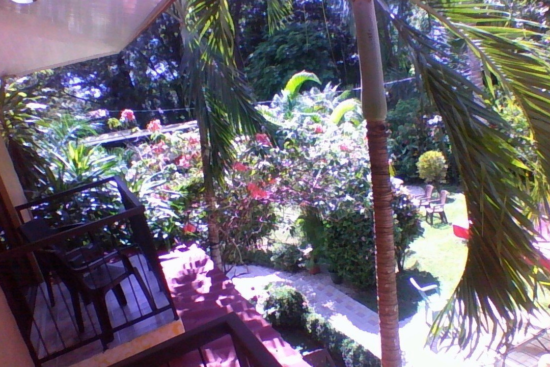 Hotel Belvedere主图