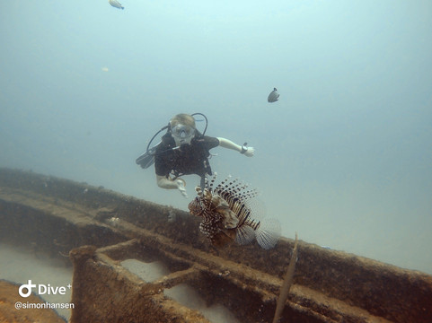 SeaUrchin Diving Center-弗力克昂弗雷克必去景点