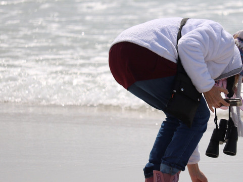 North Ponds Park-Webster必去景点