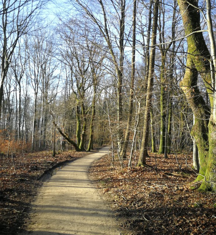 Loevbakke Naturcenter景点图片