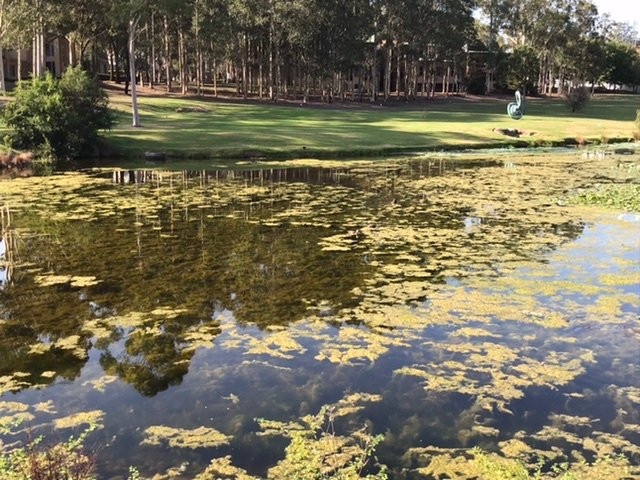 MGSM行政酒店及会议中心主图