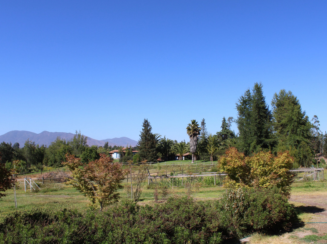 LA VIÑA DEL SEÑOR-Melipilla必去景点